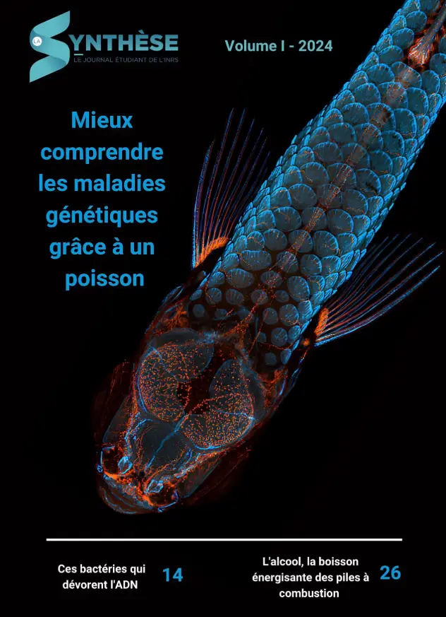 Journal La Synthèse INRS